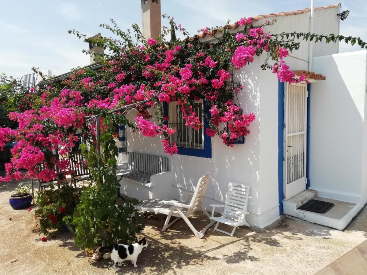 Finca La Joya Torreblanca Exterior photo